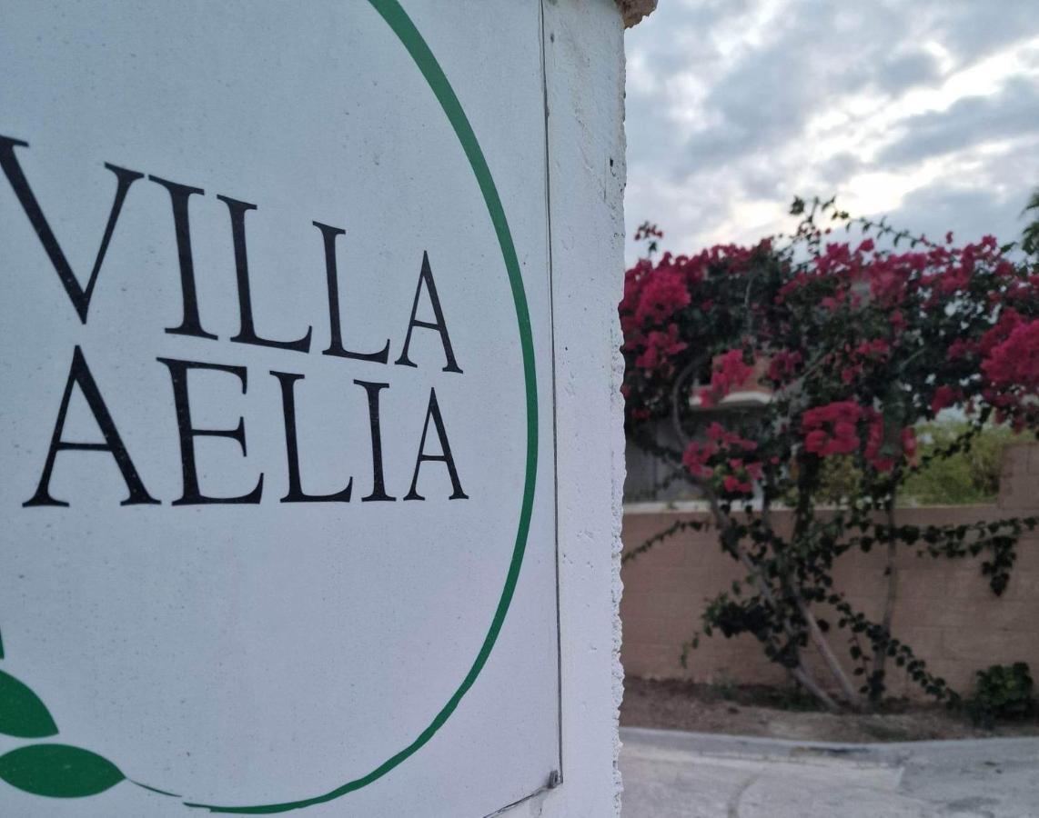 Aelia House Kefalos - Cozy & Quiet Экстерьер фото